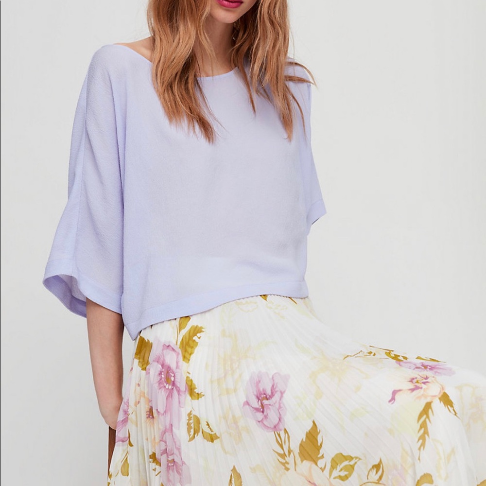 Aritzia “Blayze” Cropped Dolman Sleeve Blouse